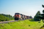 2854 leads CN 403 at the tree nursery